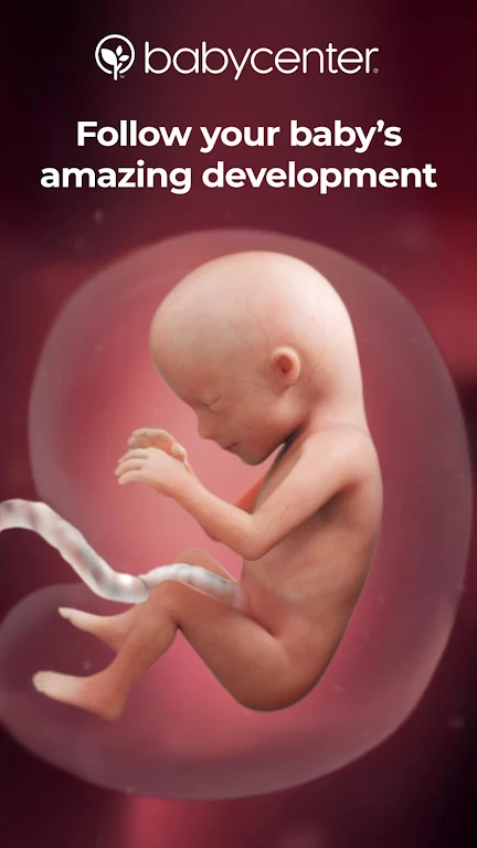 Baby Center: My Pregnancy Today 4.32.0 APK feature