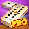Dominoes Pro 8.39 APK for Android Icon