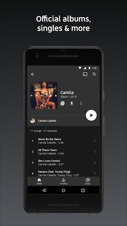 YouTube Music 6.21.51 APK feature