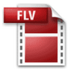 Free FLV Converter icon