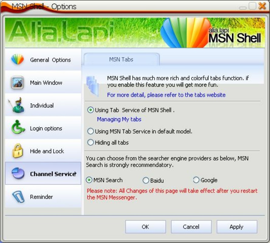 MSN Shell 4.2.28.29 feature
