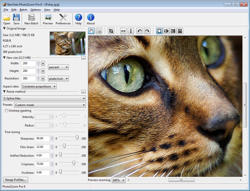 PhotoZoom Pro 6.0.6 for Windows Screenshot 1